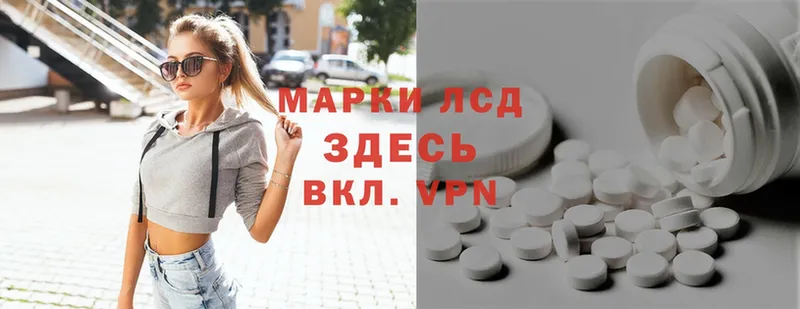 где найти наркотики  Пудож  кракен ССЫЛКА  Лсд 25 экстази ecstasy 